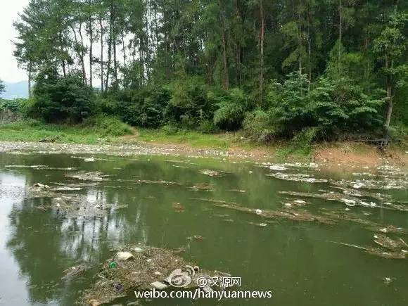 陕西汉中昨天的新闻,汉中昨晚新闻