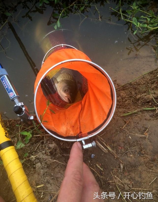 老鬼鱼饵料钓鳊鱼,老鬼专钓鳊鱼饵料配方