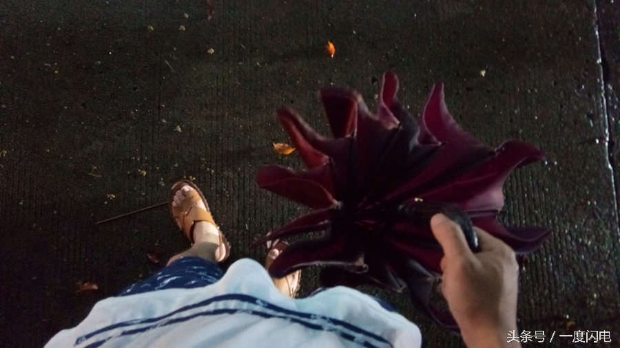 閰锋瘮max5鍙傛暟,閰锋瘮max5鎬ц兘