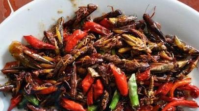 中国最奇葩的九种美食,一般人不敢尝试的十大奇葩美食