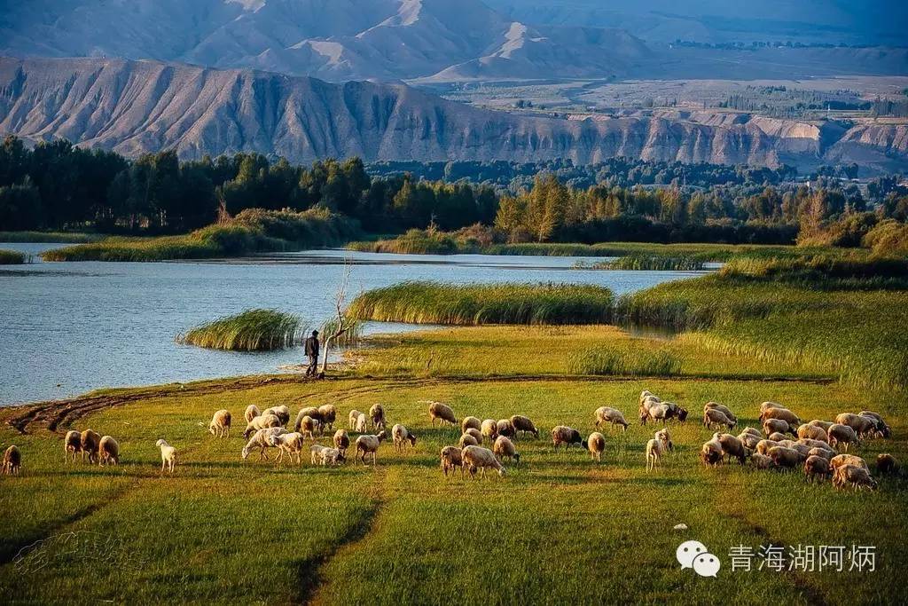 青海湖和沙坡头哪个更值得去,12月青海湖值得去吗