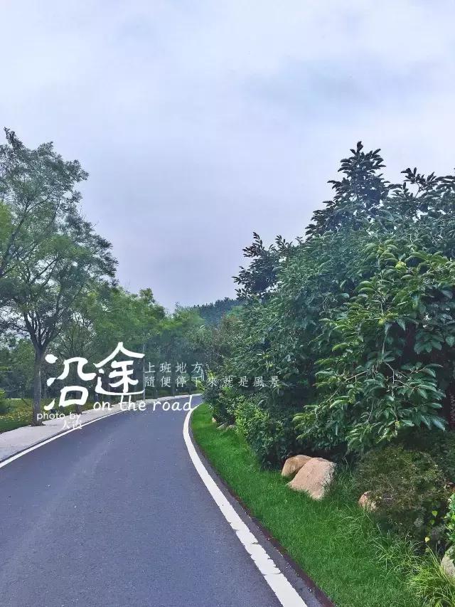 青岛游玩拍的视频,青岛旅游最适合拍照的地点