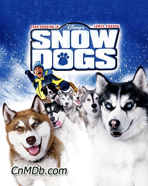 关于狗狗几部感人的电影,关于狗狗的感动且好看的电影