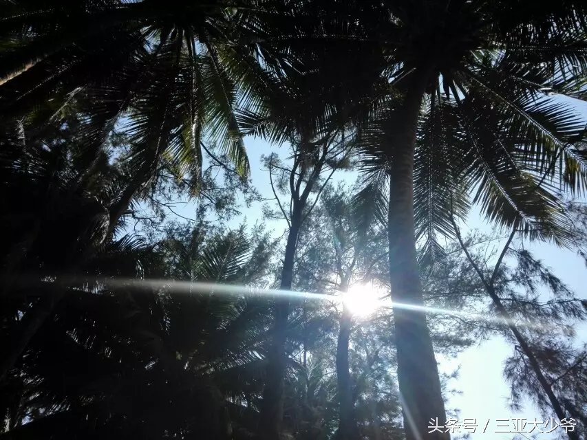 三亚—你眼中的幸福