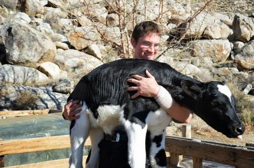 媲美哈佛的另类美国大学,深泉学院