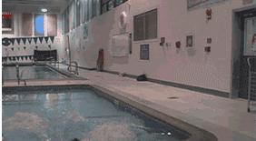 开车玩手机是刑法第几条,开车玩手机该不该入刑