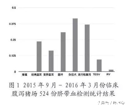 仔猪脐带血用于检测什么,脐带血检测酸中毒