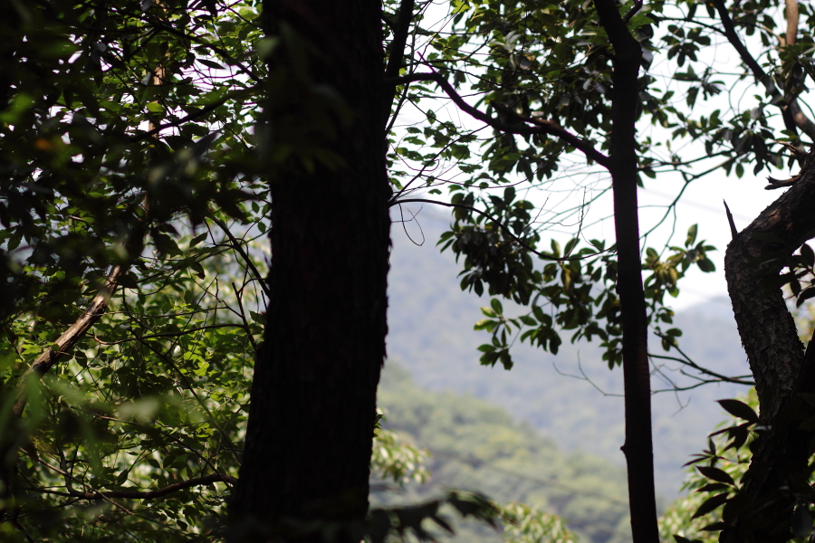 suunto颂拓越野跑怎么设置,颂拓远征阿尔法户外腕表