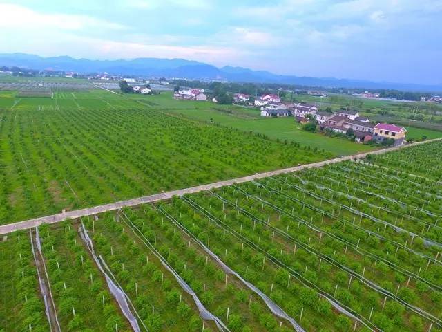 溯溪探险浏阳,浏阳旅游十大必去景区排名