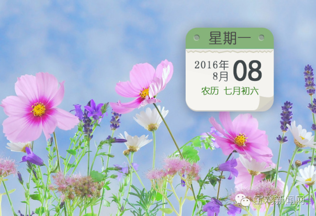 8月8日新闻简短,8月8日新闻报道摘要