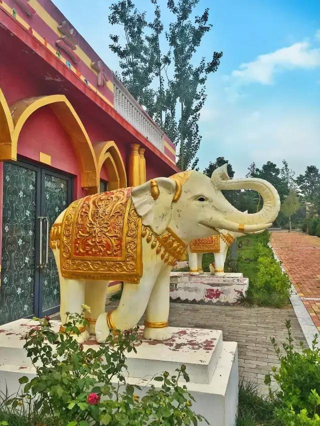 青岛游玩拍的视频,青岛旅游最适合拍照的地点