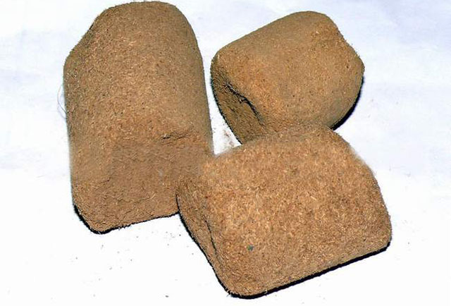 盘点奇怪的中药,中国最厉害的国宝级中药