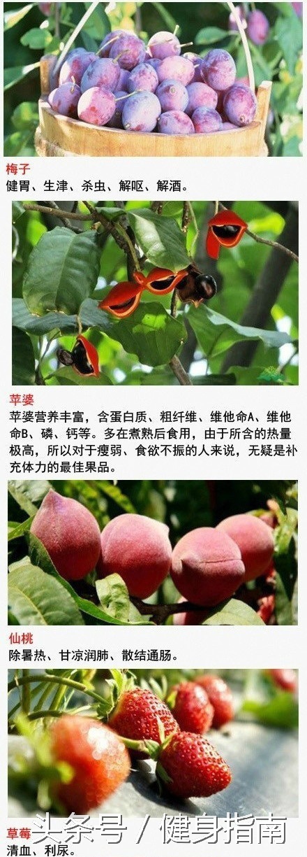 比吃药还管用的水果，1种水果能治1种病