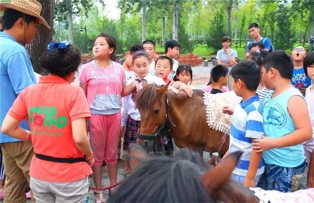 这个夜晚不平凡,从此注定不平凡