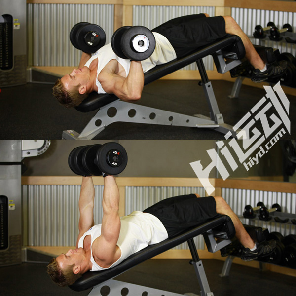 弹力绳练胸肌和哑铃练胸肌,徒手练胸肌好还是哑铃练胸肌好