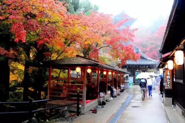 日本十大神奇寺庙,抽到大凶的签带回来了怎么办