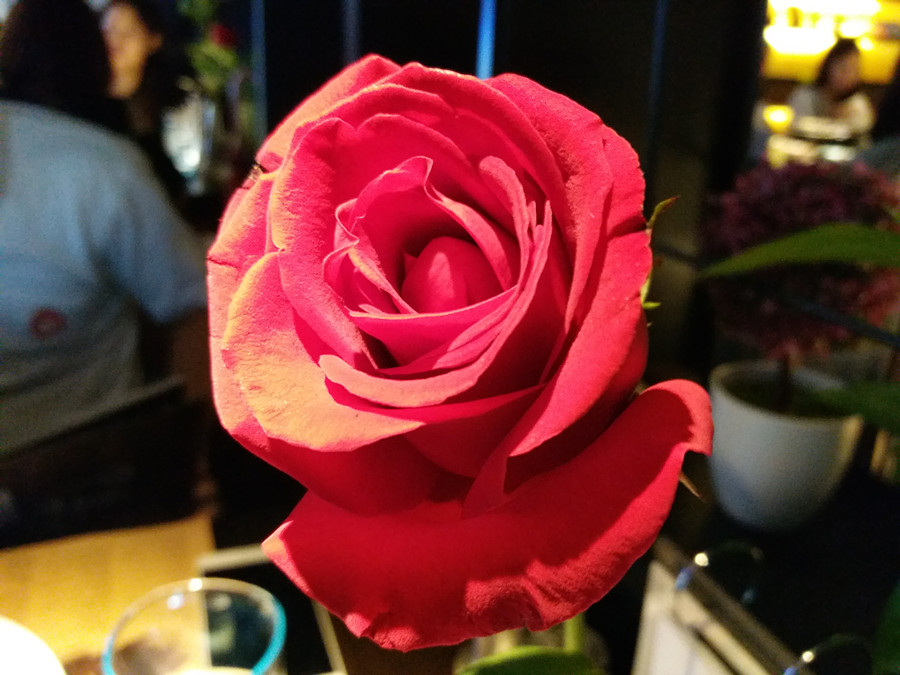 国产机高颜值,酷比max价格