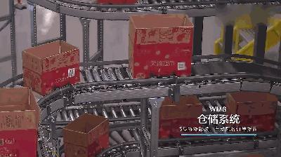 名校硕士生去了阿里巴巴做程序员,本科生进入阿里