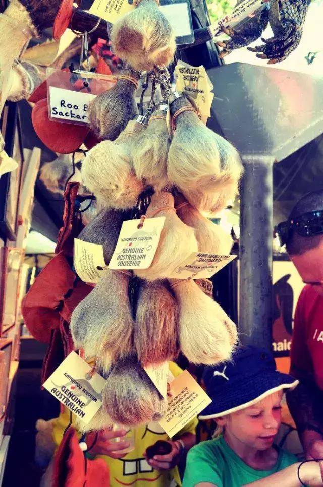 澳洲伴手礼,澳洲伴手礼袋鼠