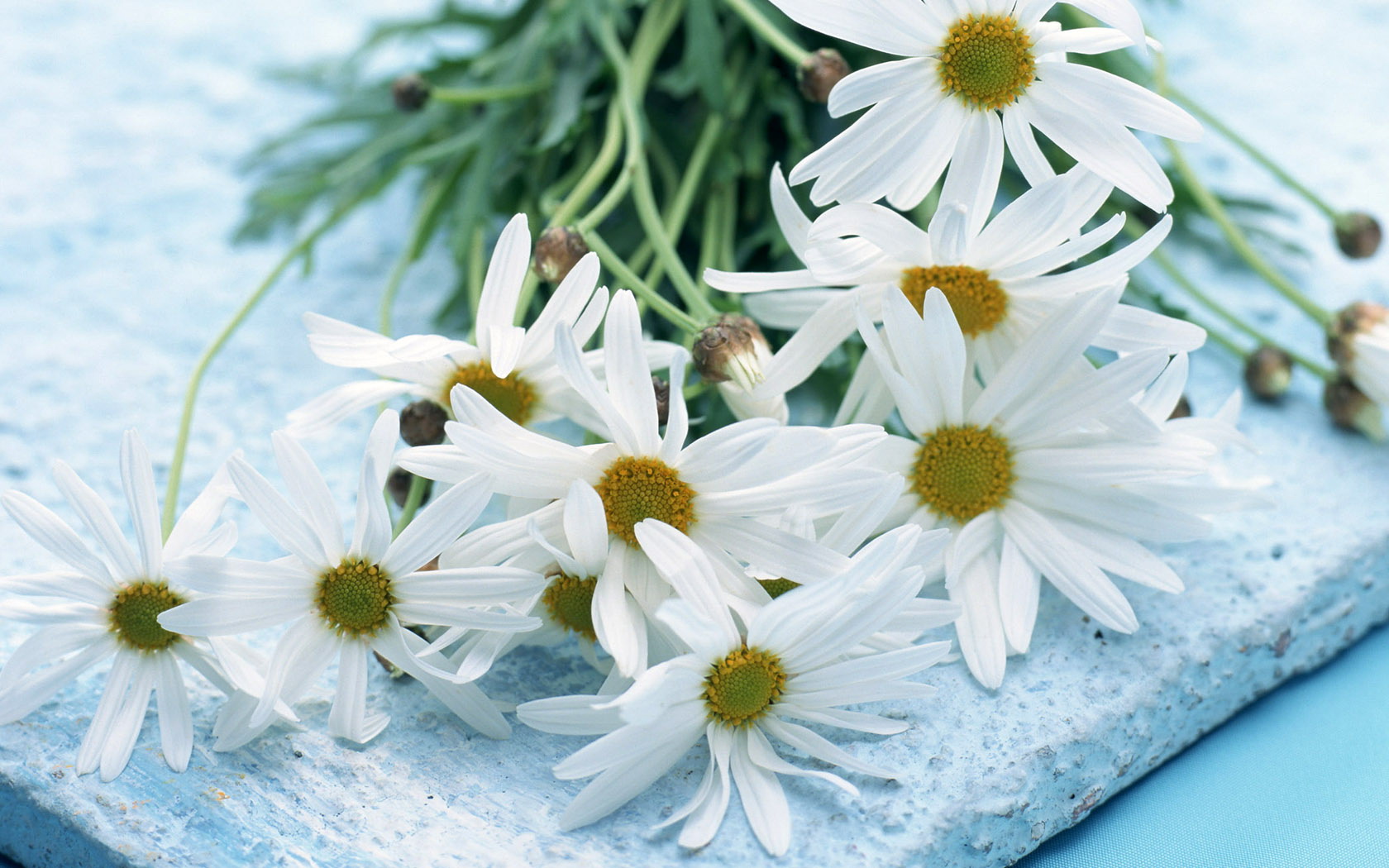 考研英语二真题推荐买谁的,考研英语真题权威答案