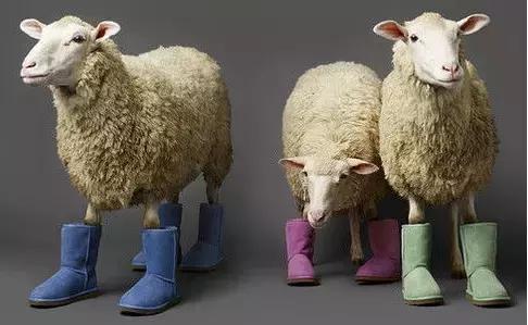 澳洲伴手礼推荐,去澳洲买什么伴手礼