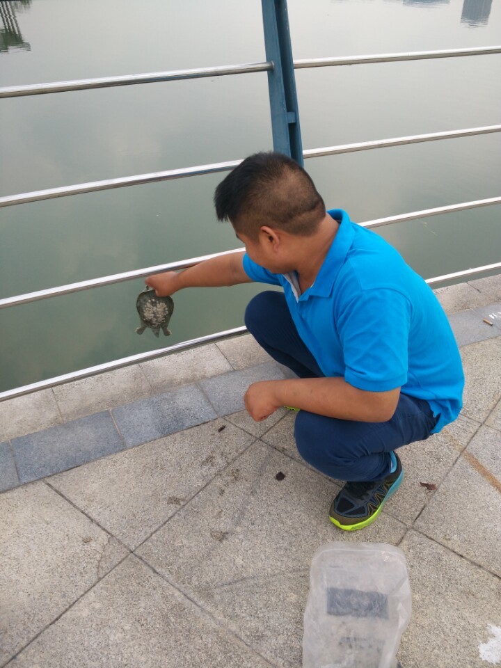 钓了一只鳖要放生吗,钓了一只野生甲鱼