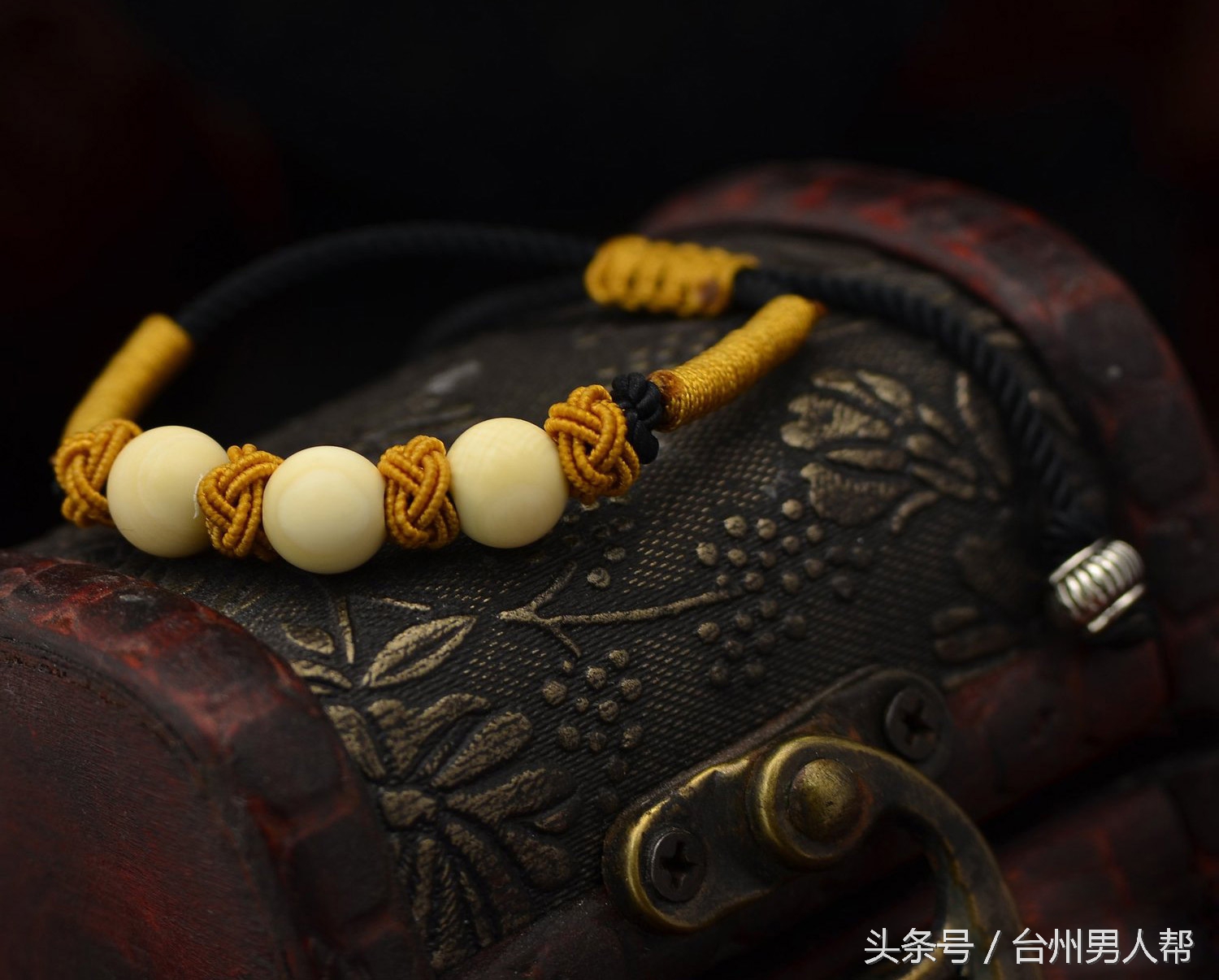 冰封数万年的猛犸象,藏传老猛犸象牙