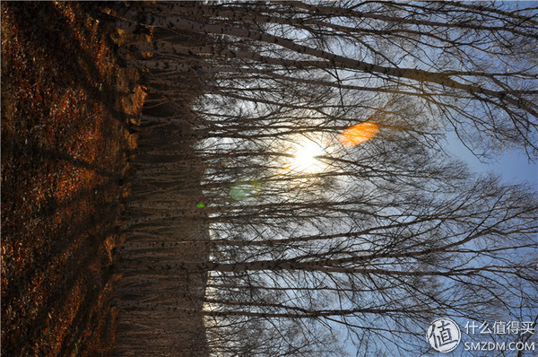 冬季自驾游阿里的攻略,兴安自驾游一日游路线攻略