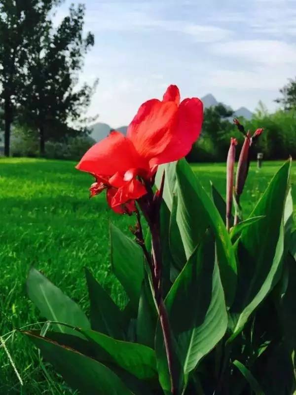 京郊轰趴别墅,京郊旅游别墅轰趴