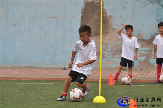 2016年河北省男子足球07/08年龄段足球夏令营现场图集