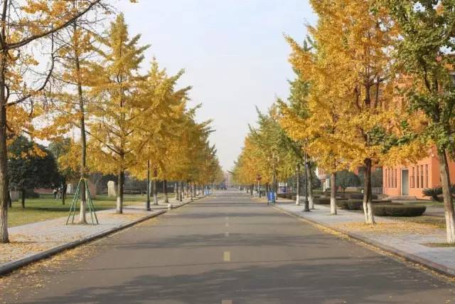 西南大学绝美风景,薇视觉