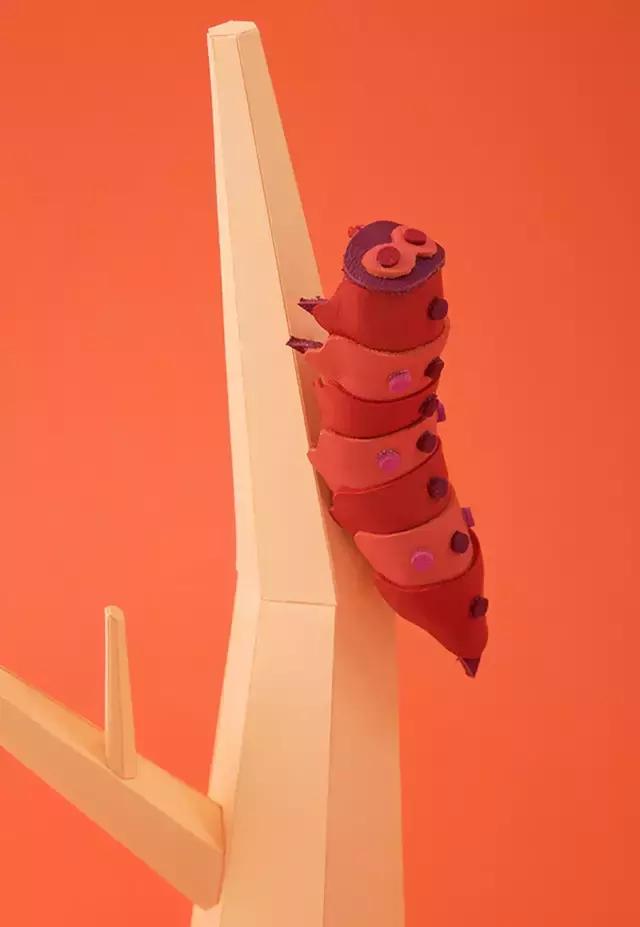 你花十万买的其实是全情投入的过程