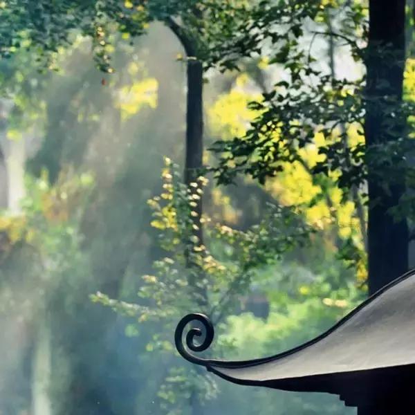 关于长情和深情的古诗词,最深的感情的古诗句