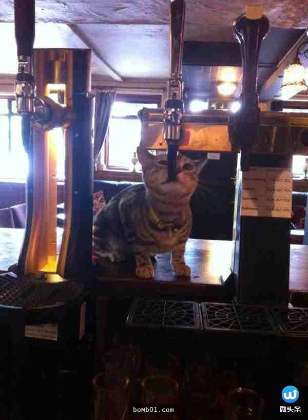 神奇而诡异的27张图,26张不可思议的相片