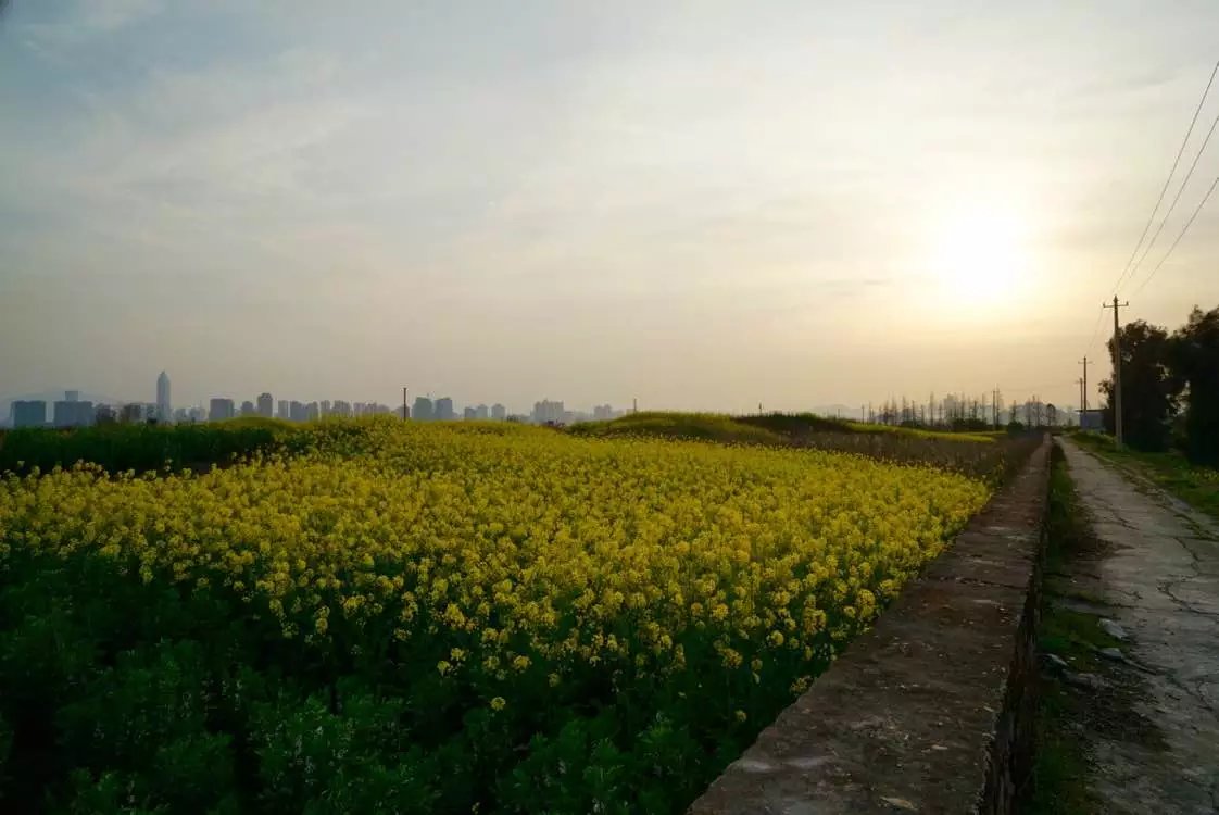 如果微博被盗，你会采取什么措施？