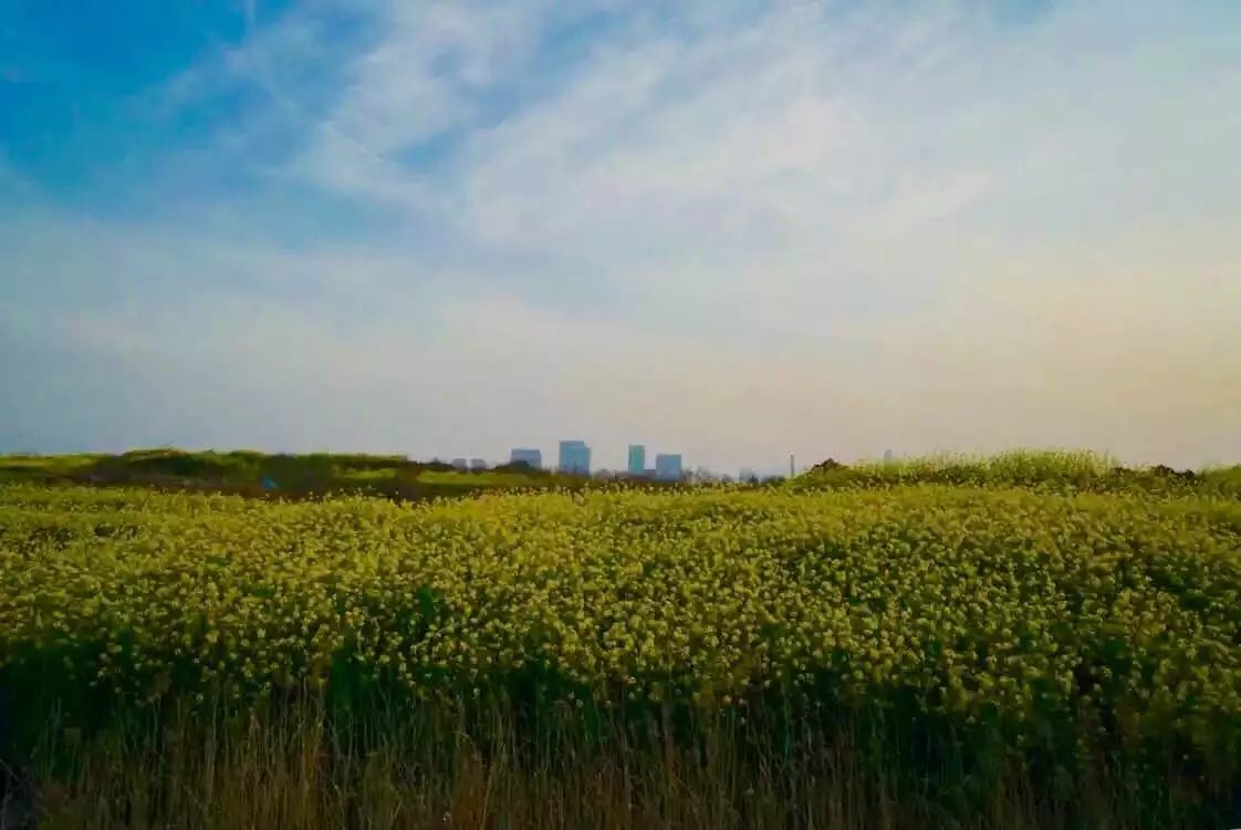 如果微博被盗，你会采取什么措施？