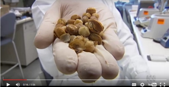 澳洲最好的抗癌药品,澳洲癌症新药研究出来了吗