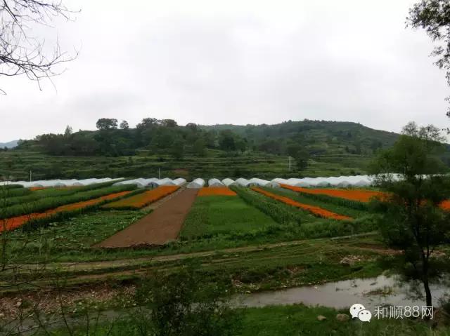 和顺县上元村太行山,和顺县自然风景