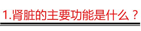 手把手教你看懂肾功能体检报告,教你肾功能化验单
