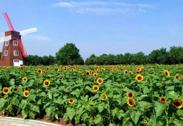 武汉不为人知的好玩地方推荐,武汉50块好玩的地方