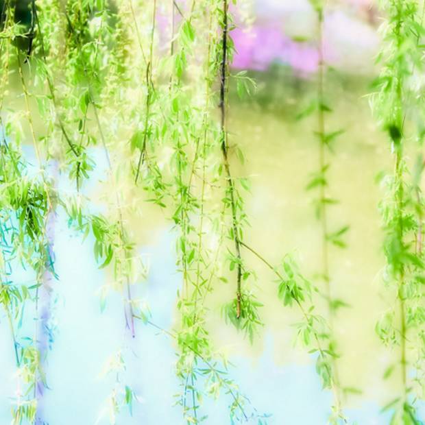 同舟奥运会高光时刻,2016年里约奥运会精彩瞬间