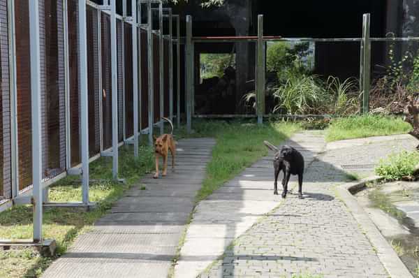 在台湾流浪14天~火星人的环岛路线！