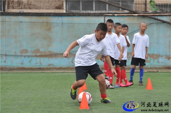 2016年河北省男子足球07/08年龄段足球夏令营现场图集