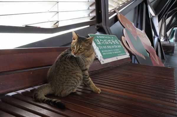 在台湾流浪14天~火星人的环岛路线！