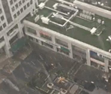 武汉一夜之间白了头,这回终于有得玩了!