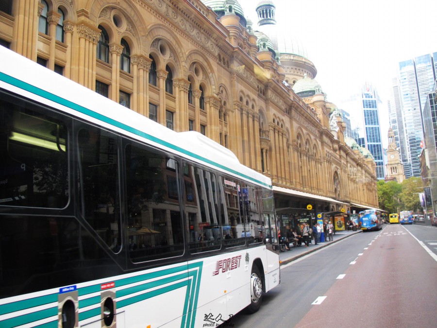 悉尼炎热,悉尼潮湿还是干燥