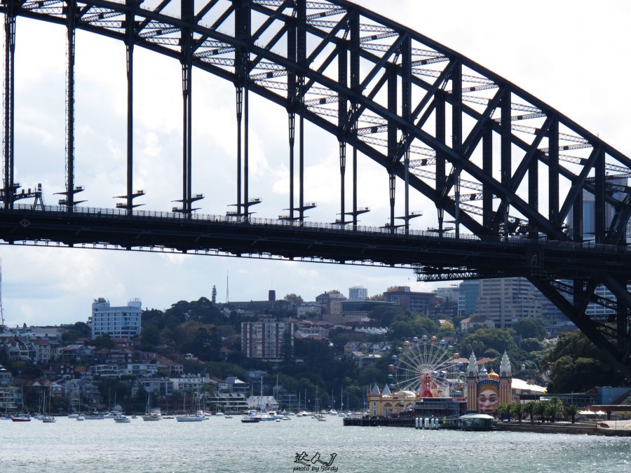 悉尼是啥味道,悉尼盐蚝