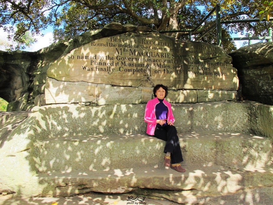 悉尼是啥味道,悉尼盐蚝