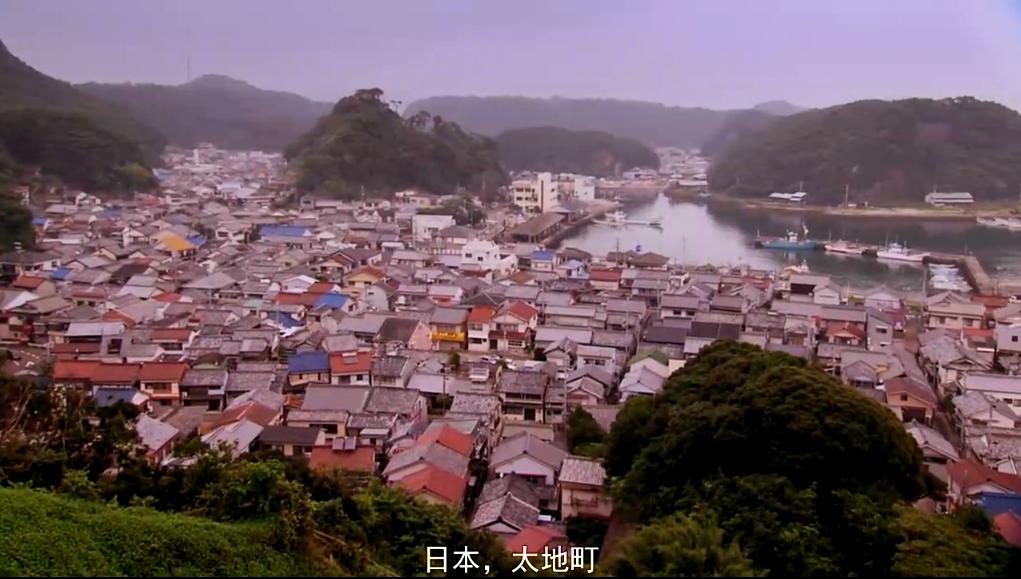 日本拒绝入境经历,日本海豚湾纪录片完整版