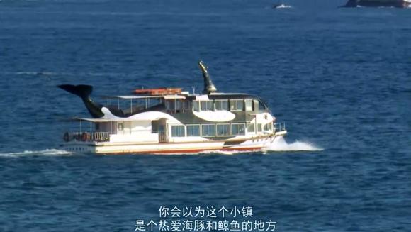 日本拒绝入境经历,日本海豚湾纪录片完整版